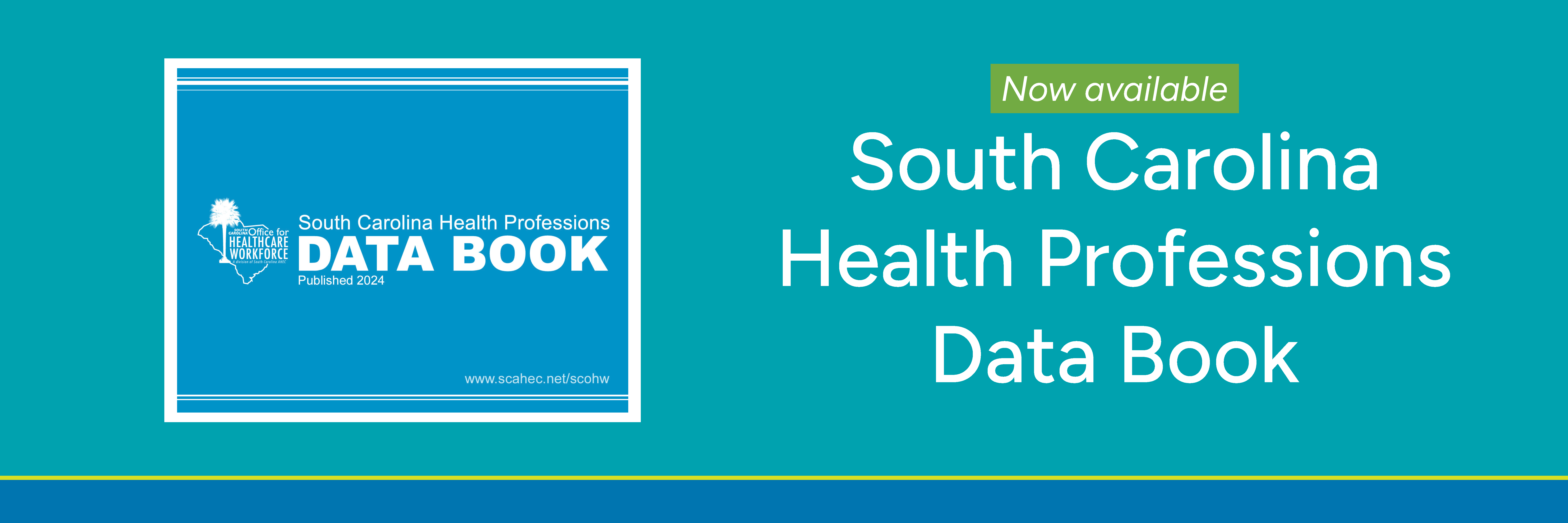 South Carolina Health Professions Data Book now available! 