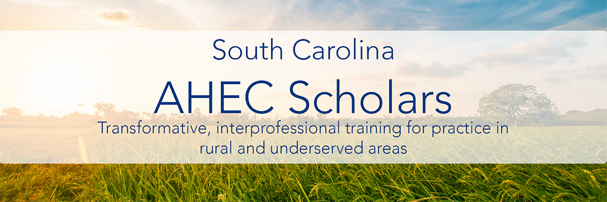 South Carolina AHEC Scholars: Transformative, interprofessional training for practice in rural and underserved areas