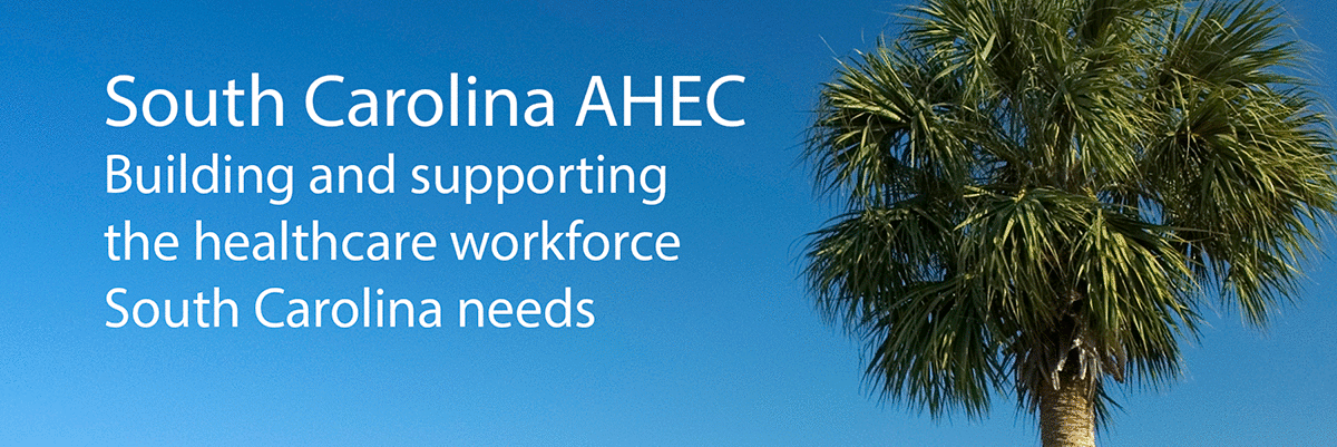 South Carolina AHEC: Building and supporting the healthcare workforce South Carolina needs